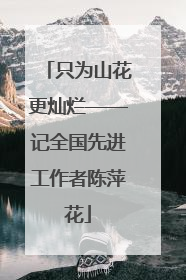 只为山花更灿烂——记全国先进工作者陈萍花