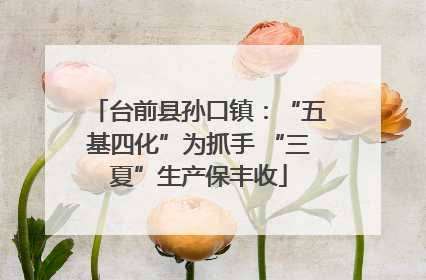 台前县孙口镇：“五基四化”为抓手 “三夏”生产保丰收