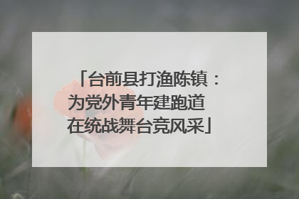 台前县打渔陈镇：为党外青年建跑道 在统战舞台竞风采