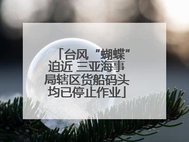 台风“蝴蝶”迫近 三亚海事局辖区货船码头均已停止作业