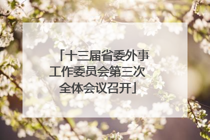 十三届省委外事工作委员会第三次全体会议召开