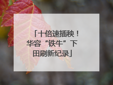 十倍速插秧！华容“铁牛”下田刷新纪录