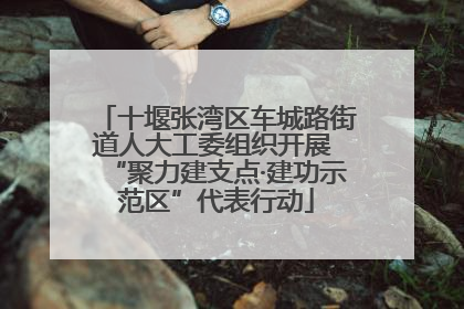 十堰张湾区车城路街道人大工委组织开展 “聚力建支点·建功示范区”代表行动