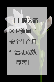 十堰茅箭区卫健局“安全生产月”活动成效显著