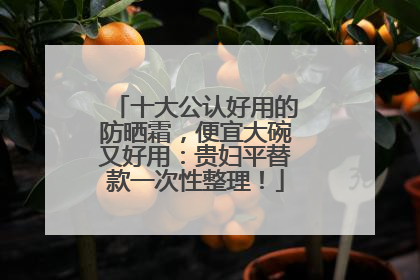 十大公认好用的防晒霜，便宜大碗又好用：贵妇平替款一次性整理！