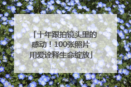 十年跟拍镜头里的感动！100张照片用爱诠释生命绽放