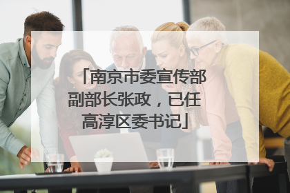 南京市委宣传部副部长张政，已任高淳区委书记