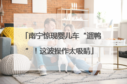 南宁惊现婴儿车“遛鸭”！这波操作太吸睛