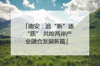 南安：追“新”逐“质” 共绘两岸产业融合发展新篇
