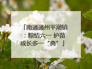 南通通州平潮镇：粽情六一 护苗成长多一“典”