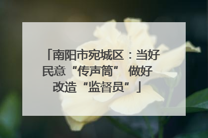南阳市宛城区：当好民意“传声筒” 做好改造“监督员”