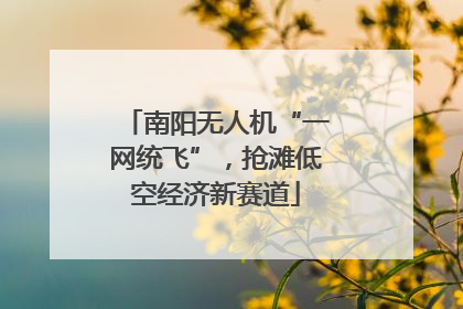 南阳无人机“一网统飞”，抢滩低空经济新赛道