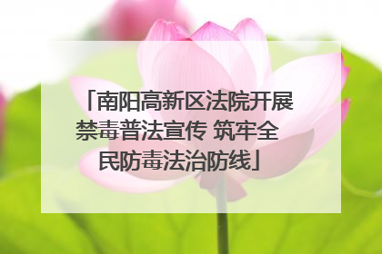南阳高新区法院开展禁毒普法宣传 筑牢全民防毒法治防线
