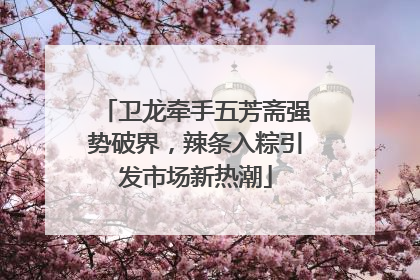 卫龙牵手五芳斋强势破界，辣条入粽引发市场新热潮