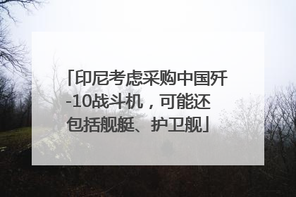 印尼考虑采购中国歼-10战斗机，可能还包括舰艇、护卫舰