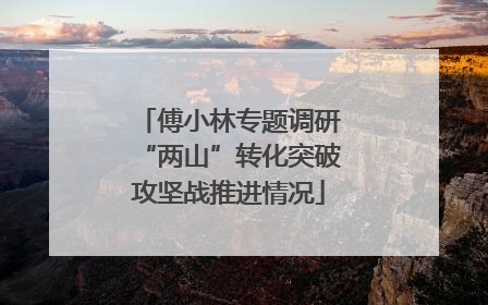 傅小林专题调研“两山”转化突破攻坚战推进情况