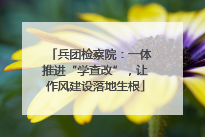 兵团检察院：一体推进“学查改”，让作风建设落地生根