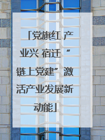 党旗红 产业兴 宿迁“链上党建”激活产业发展新动能