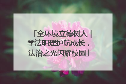 全环境立德树人｜学法明理护航成长，法治之光闪耀校园