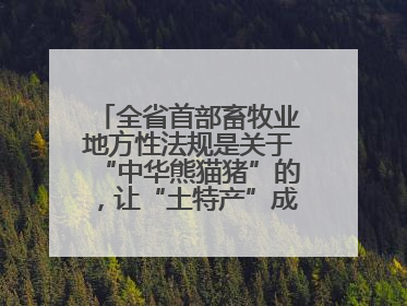 全省首部畜牧业地方性法规是关于“中华熊猫猪”的，让“土特产”成为“新国潮”，让“农产品”升格为“城市IP”