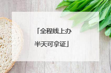 全程线上办 半天可拿证