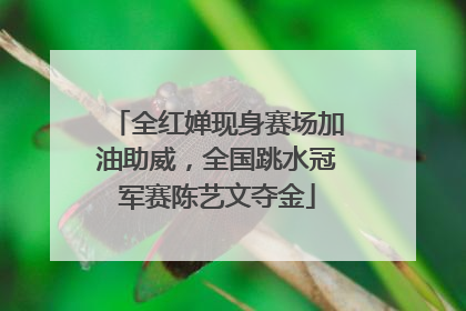 全红婵现身赛场加油助威，全国跳水冠军赛陈艺文夺金
