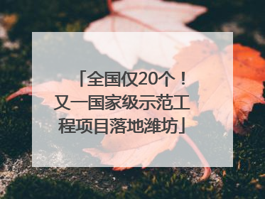 全国仅20个！又一国家级示范工程项目落地潍坊