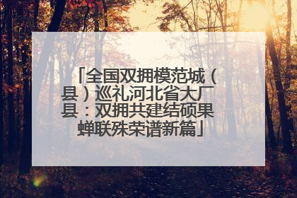 全国双拥模范城（县）巡礼河北省大厂县：双拥共建结硕果 蝉联殊荣谱新篇