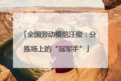 全国劳动模范汪俊：分拣场上的“冠军手”