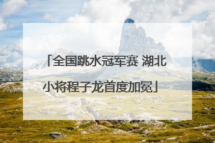 全国跳水冠军赛 湖北小将程子龙首度加冕