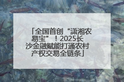 全国首创“潇湘农易宝”！2025长沙金融赋能打通农村产权交易全链条