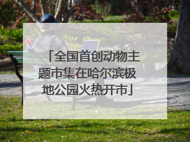 全国首创动物主题市集在哈尔滨极地公园火热开市