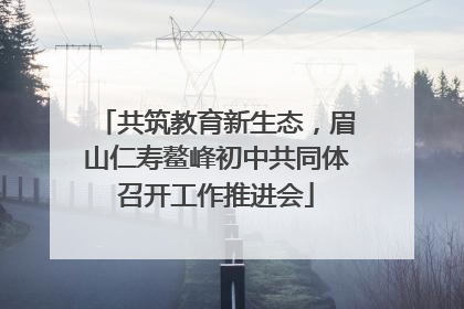 共筑教育新生态，眉山仁寿鳌峰初中共同体召开工作推进会