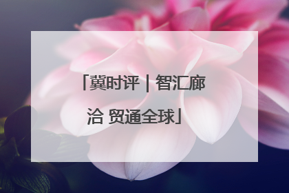 冀时评｜智汇廊洽 贸通全球