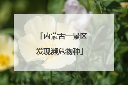 内蒙古一景区发现濒危物种