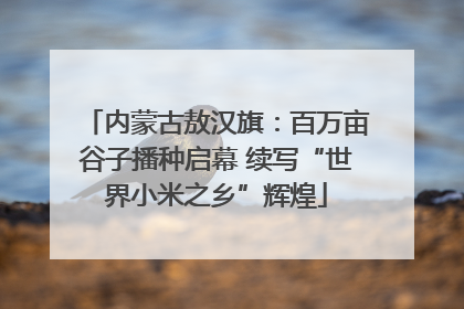 内蒙古敖汉旗：百万亩谷子播种启幕 续写“世界小米之乡”辉煌