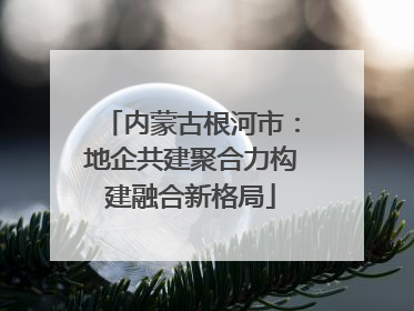 内蒙古根河市：地企共建聚合力构建融合新格局