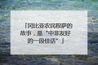 冈比亚农民穆萨的故事，是“中非友好的一段佳话”