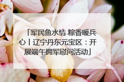 军民鱼水情 粽香暖兵心丨辽宁丹东元宝区：开展端午拥军慰问活动