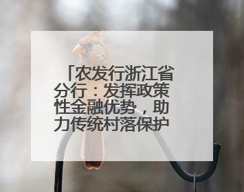 农发行浙江省分行：发挥政策性金融优势，助力传统村落保护利用