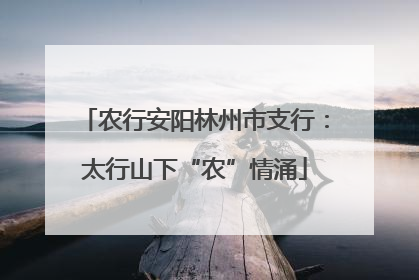 农行安阳林州市支行：太行山下“农”情涌