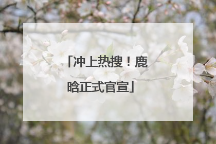冲上热搜！鹿晗正式官宣