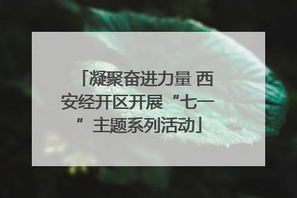 凝聚奋进力量 西安经开区开展“七一”主题系列活动