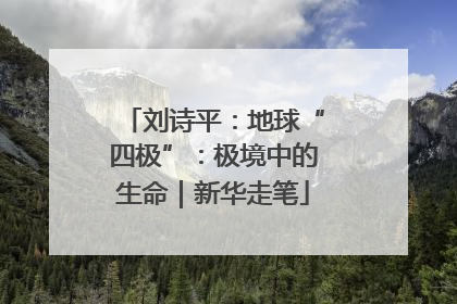 刘诗平：地球“四极”：极境中的生命｜新华走笔