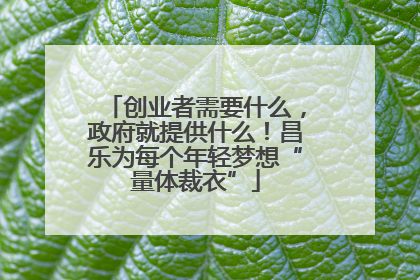 创业者需要什么，政府就提供什么！昌乐为每个年轻梦想“量体裁衣”