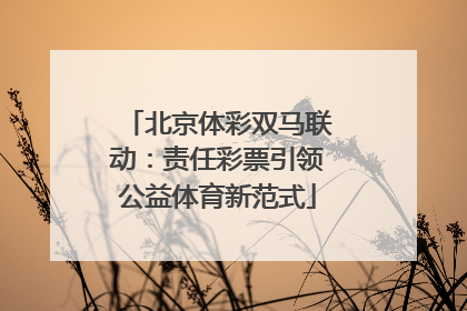 北京体彩双马联动：责任彩票引领公益体育新范式