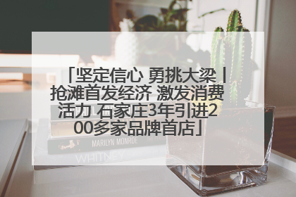 坚定信心 勇挑大梁丨抢滩首发经济 激发消费活力 石家庄3年引进200多家品牌首店