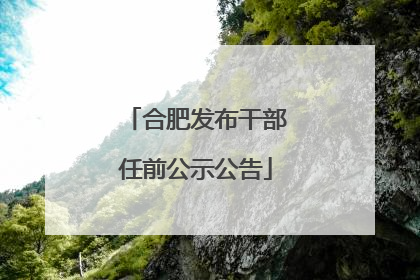 合肥发布干部任前公示公告
