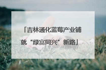 吉林通化蓝莓产业铺就“绿富同兴”新路