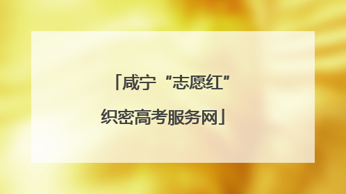 咸宁“志愿红”织密高考服务网